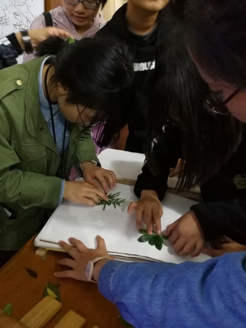 傍晚员工正在学习如何压制植物标本