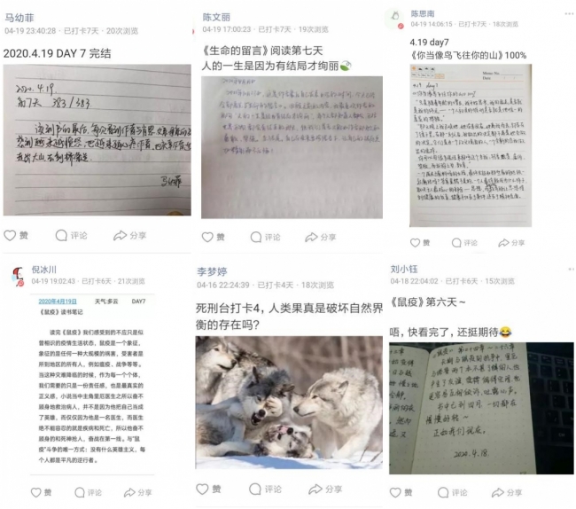 组合 组合