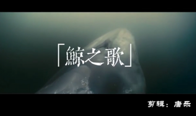 图片3 图片3