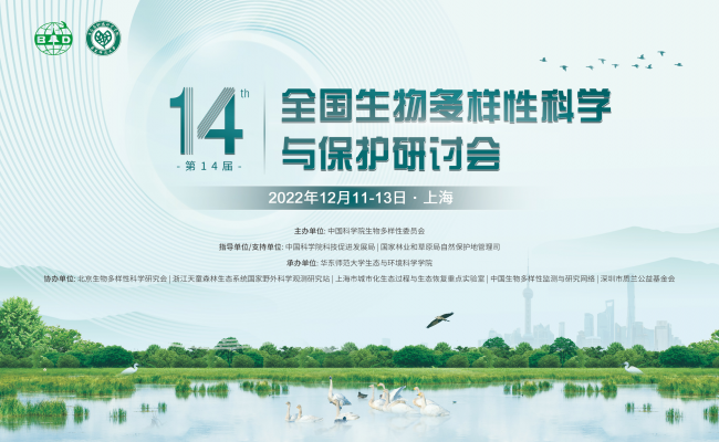 大会背景图