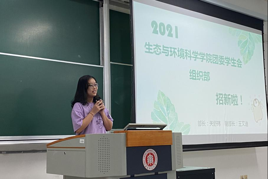 图片11