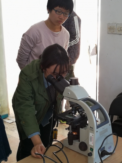 员工正在用显微镜观察浮游生物 员工正在用显微镜观察浮游生物